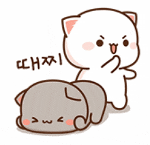 a white cat is standing next to a gray cat with chinese writing on it