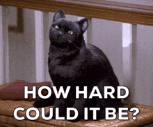 a black cat is sitting on a wicker bench with the words how hard could it be written below it