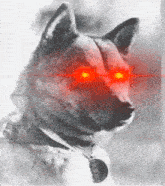 a black and white photo of a dog with bright red eyes .
