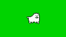White Dog Green Screen GIF - White Dog Green Screen Green Background GIFs