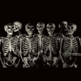 Skeleton Skeletons GIF