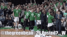 thegreenbean thegreenbean_26 celtics greenbean