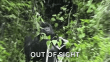 Gorilla Hiding GIF - Gorilla Hiding Eating GIFs