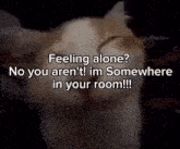 a picture of a cat with the caption feeling alone no you aren 't im somewhere in your room !!!