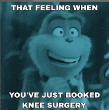 a picture of a cartoon character with the caption that feeling when you 've just booked knee surgery