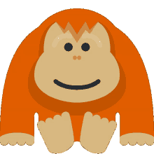orangutan monke