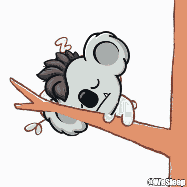 Koala Animation GIFs