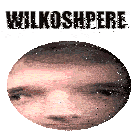 Wilkosphere Sticker - Wilkosphere Stickers