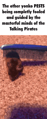 a picture of a mouse with a comb on it