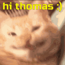 Hi Thomas GIF - Hi Thomas Hello GIFs