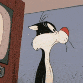 Looney Tunes Looney Toons GIF