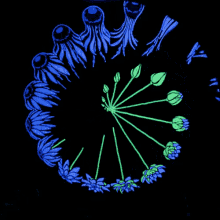 Animation Flower GIF - Animation Flower Bloom GIFs