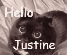 Hello Justine GIF