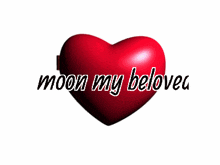Moon My Beloved GIF - Moon My Beloved GIFs