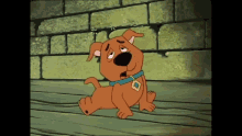 Scooby Doo Scrappy Doo GIF - Scooby Doo Scrappy Doo Seeing Stars GIFs