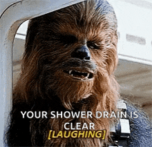 chewbacca from star wars is laughing because his shower drain is clear