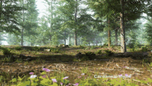 Stake For Nature Nature GIF