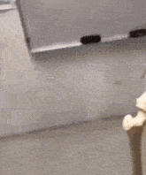 Skeleton Mewing GIF - Skeleton Mewing Mewing Meme GIFs