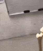 GIF