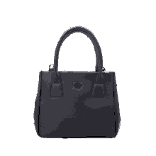 handbag pouche