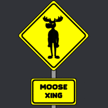 Doyoumoose Do-you-moose GIF