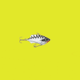 an optical illusion of a fish with a hook in it