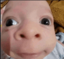 a close up of a baby 's face with a large nose