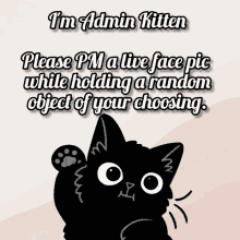 Miss Kitten GIF - Miss Kitten Admin GIFs