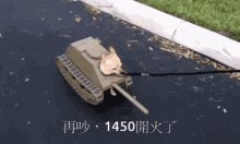 1450fight walking cute dog tank costume