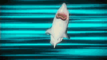 Shark Pazolite GIF - Shark Pazolite Dance GIFs