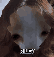 Riley Rye GIF - Riley Rye Amor GIFs