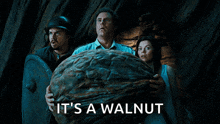 Your Brain On Walnuts GIF