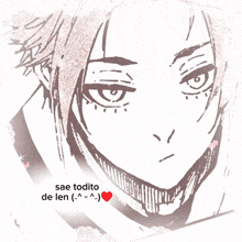 a drawing of a boy with the words sae todito de len written below it