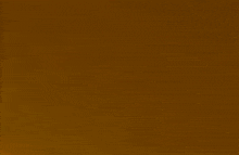 a cartoon squirrel wearing a blue jacket and white gloves is standing on a brown surface .