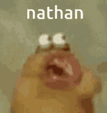 Nathan GIFs | Tenor