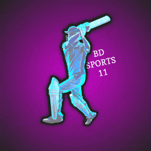 Bdsports11 Bd Sports 11 GIF - Bdsports11 Bd Sports 11 Cricket GIFs
