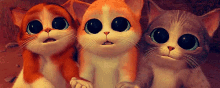 Qué Bonito GIF - Kitten Que Bonito Googly Eyes GIFs