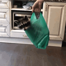 Raccoon Animal GIF - Raccoon Animal Plastic Bag GIFs