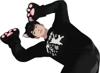 a cartoon character wearing a black shirt with a white cat on it