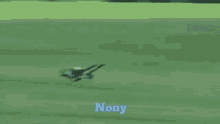 Nonyzim Nony GIF - Nonyzim Nony Cortador De Grama GIFs