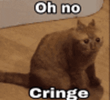 Cring Cat GIF - Cring Cat Orange Cat GIFs