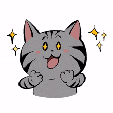 cute cat kitty gray expected