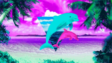 Dolphins Ocean GIF - Dolphins Ocean GIFs