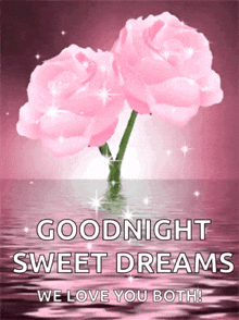 sparkles good night sweet dreams flower
