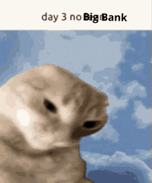 Bigbank GIF - Bigbank GIFs