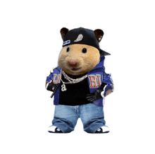 a hamster wearing a hat and a jacket that says ro