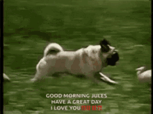 Good Morning Jules Have A Great Day GIF