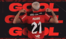 Pedro Flamengo GIF