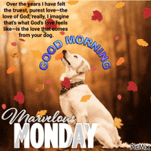 Marvelous Monday GIF - Marvelous Monday GIFs