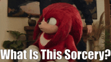 Knuckles Tv Show What Is This Sorcery GIF - Knuckles Tv Show What Is This Sorcery Sorcery GIFs